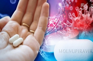 Thuốc molnupiravir hiệu quả với cả người bị suy giảm miễn dịch