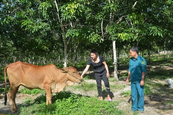 “An dân giữ đất biên cương”