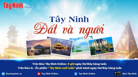 Cùng bạn đọc100