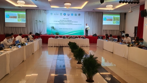 Hội thảo Giải pháp xử lý bệnh hại và phát triển khoai mì bền vững khu vực Nam bộ