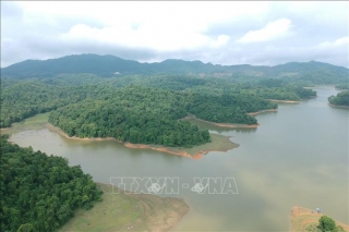 Khám phá vẻ đẹp hồ Pá Khoang và rừng đặc dụng Mường Phăng