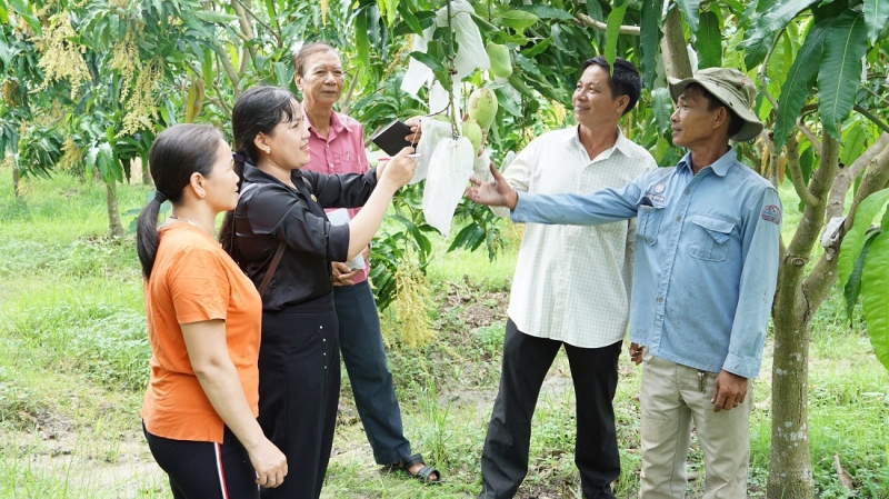 Tăng cường liên kết vùng, đầu tư phát triển các sản phẩm chủ lực