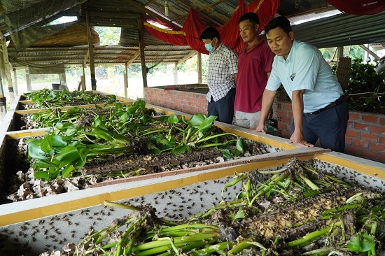 Nông dân Long Vĩnh phát triển kinh tế nhờ chuyển đổi mô hình sản xuất