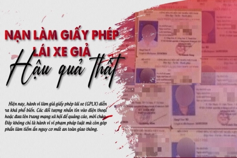 Nạn làm giấy phép lái xe giả - Hậu quả thật