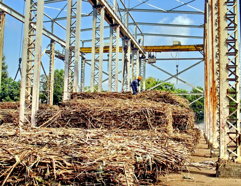 Thông tin kinh tế trong tỉnh