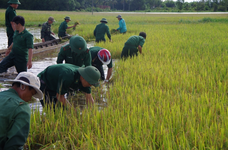 Học tập và làm theo Bác gắn với tu dưỡng, rèn luyện, thực hiện nhiệm vụ