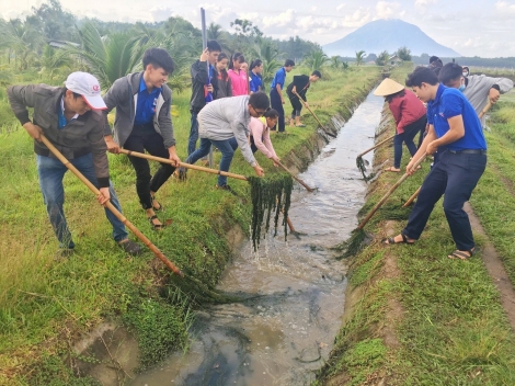 Tổ chức hoạt động hưởng ứng ngày Môi trường thế giới, Tháng hành động vì môi trường năm 2022