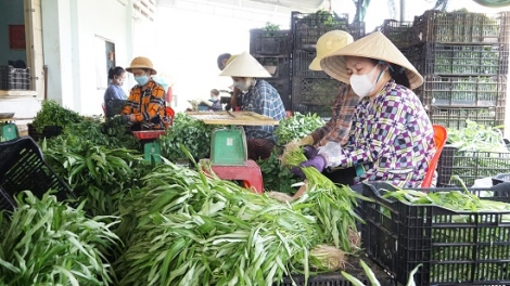 Hỗ trợ lãi suất từ ngân sách Nhà nước đối với khoản vay của doanh nghiệp, hợp tác xã, hộ kinh doanh