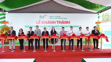 BaF Việt Nam: Khánh thành trang trại chăn nuôi heo hậu bị tại Tân Biên