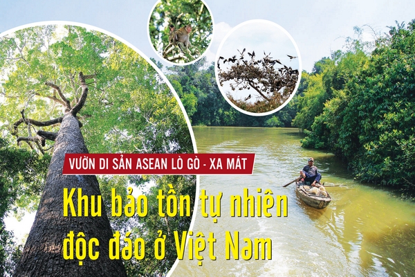 Vườn di sản ASEAN Lò Gò - Xa Mát: Khu bảo tồn tự nhiên độc đáo ở Việt Nam