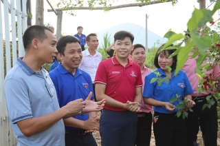 Tỉnh đoàn Tây Ninh - Long An: Trao đổi kinh nghiệm triển khai chương trình "Đồng hành với thanh niên khởi nghiệp, lập nghiệp"