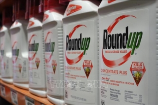 Tòa án Tối cao Mỹ bác đơn kháng cáo liên quan đến thuốc diệt cỏ Roundup