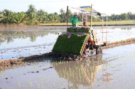 10 xã đạt chuẩn nông thôn mới, 7 xã được công nhận đạt nông thôn mới nâng cao