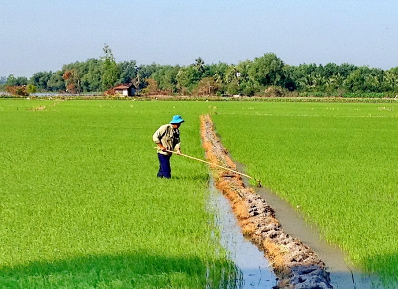 Thông tin kinh tế trong tỉnh