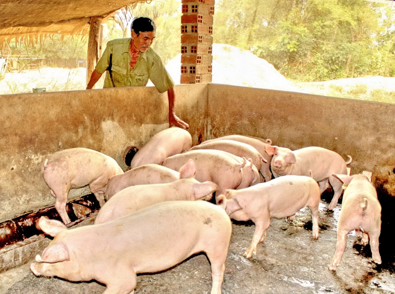 Thông tin kinh tế trong tỉnh