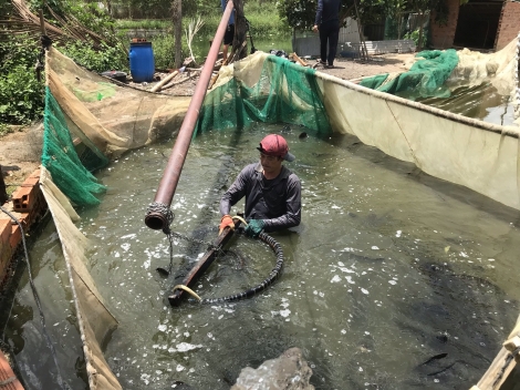 Phát triển mạnh nuôi trồng thuỷ sản theo chiều sâu