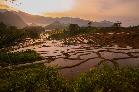 Ngắm vẻ đẹp yên bình ruộng bậc thang Pù Luông mùa đổ nước