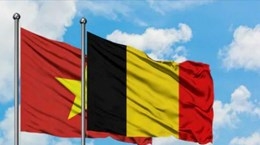 Tăng cường quan hệ hợp tác nhóm nghị sỹ hữu nghị Việt Nam và Bỉ
