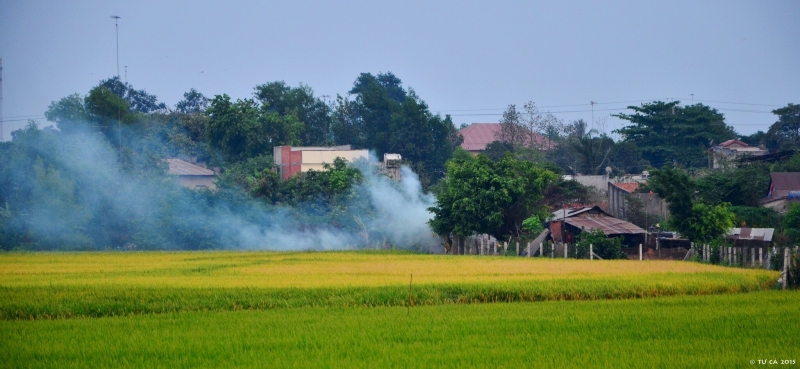 Những ngôi nhà không bao giờ cũ...