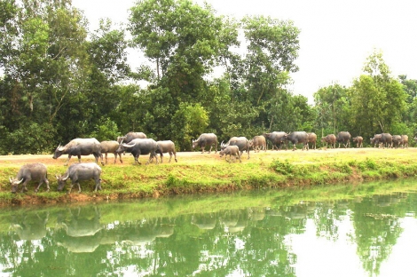 Thông tin kinh tế trong tỉnh