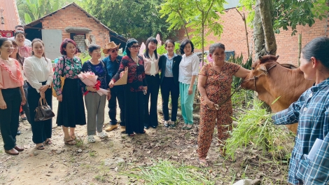 Điểm tin địa phương