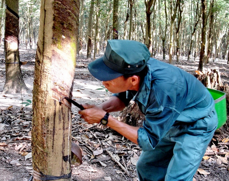 Thông tin kinh tế trong tỉnh