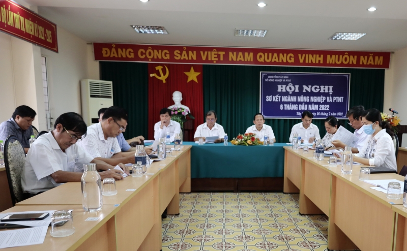 Sản xuất nông nghiệp phục hồi sau đại dịch