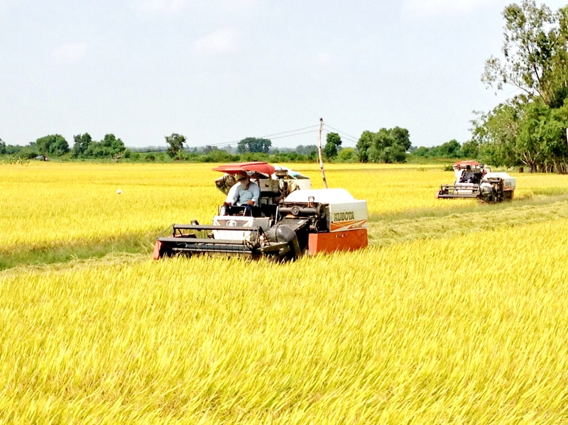 Thông tin kinh tế trong tỉnh