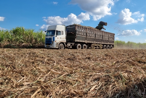 Xây dựng nông thôn văn minh, hiện đại gắn với đô thị hoá.