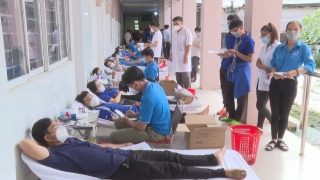 Hòa Thành: Tiếp nhận 285 đơn vị máu
