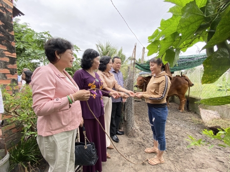 Trao bò sinh sản cho phụ nữ nghèo huyện Tân Châu