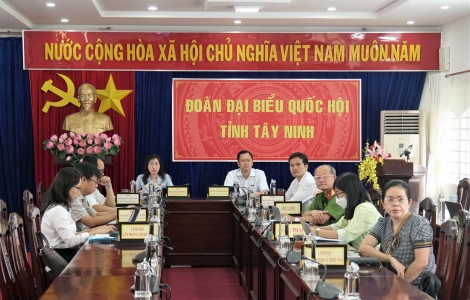 Đại biểu Quốc hội chất vấn Bộ trưởng Bộ Công an Tô Lâm