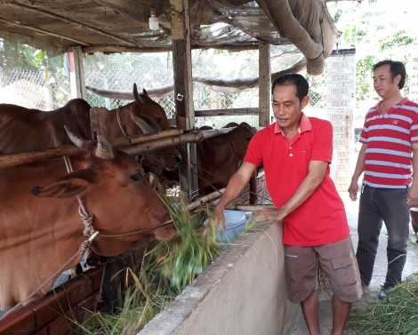 Xã An Thạnh (huyện Bến Cầu): Nhiều nông dân thoát nghèo, đóng góp xây dựng quê hương
