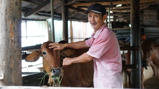 Sử dụng vốn vay hiệu quả, nhiều nông dân thoát nghèo bền vững