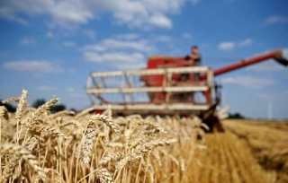TTK LHQ nhấn mạnh việc đưa các sản phẩm nông nghiệp của Nga ra thị trường thế giới