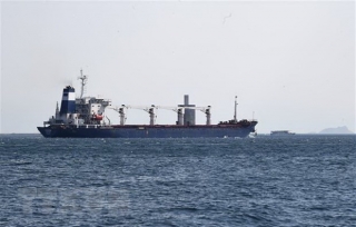 Thêm nhiều tàu chở ngũ cốc rời Ukraine