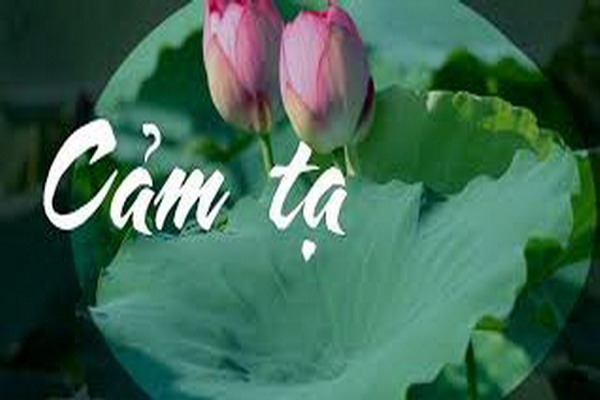 Cảm tạ