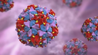Pakistan phát hiện virus bại liệt hoang dã trong môi trường