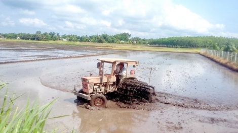 Thông tin kinh tế trong tỉnh