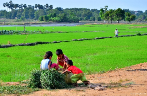 Những ngôi nhà nhỏ…