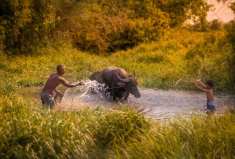 Ông nội, bé Nấm và Trung thu…