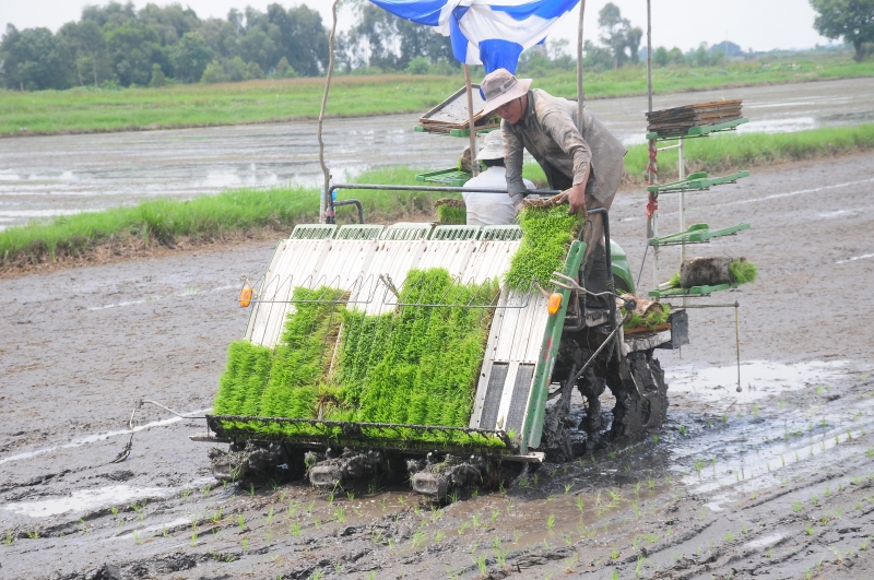 Đổi thay An Thạnh