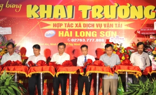 Thành lập hợp tác xã dịch vụ vận tải Hải Long Sơn