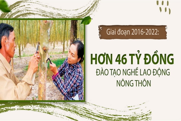 Giai đoạn 2016-2022: Hơn 46 tỷ đồng đào tạo nghề lao động nông thôn