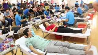 Gò Dầu: Tiếp nhận 385 đơn vị máu