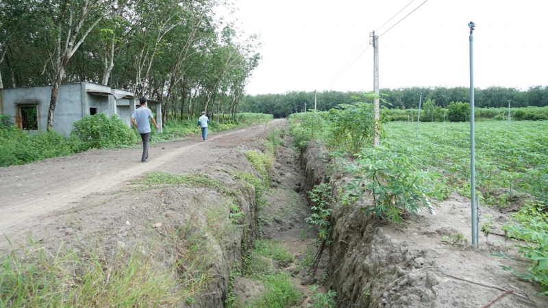 Nâng cao giá trị sản xuất lâm nghiệp