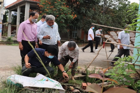 Hoà Thành: Ra quân diệt lăng quăng phòng, chống sốt xuất huyết