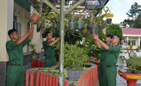 “Vườn treo” của Đại đội 40 Châu Thành