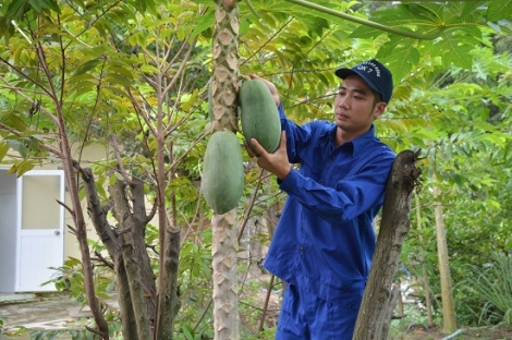 Những người lính thợ