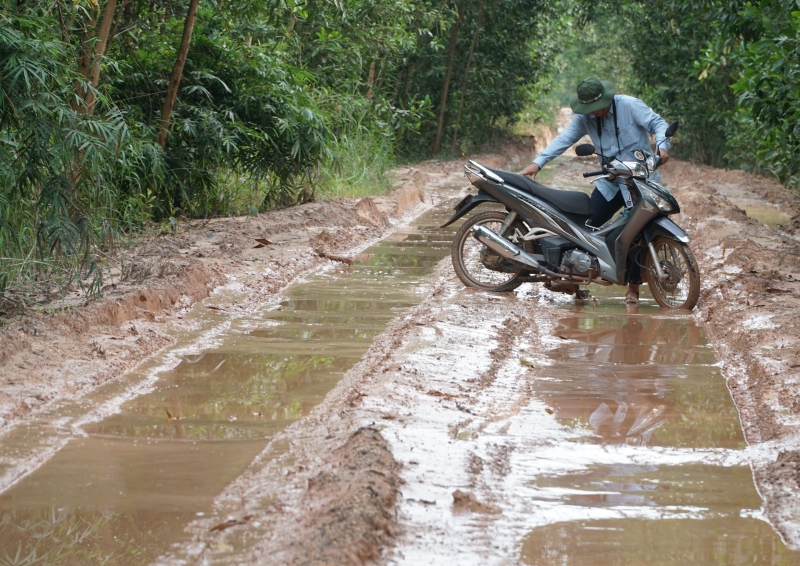 Tiếc một con đường